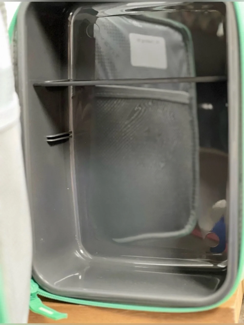 Fulton Bag Co. Insulated Lunch Bag in Mint Green